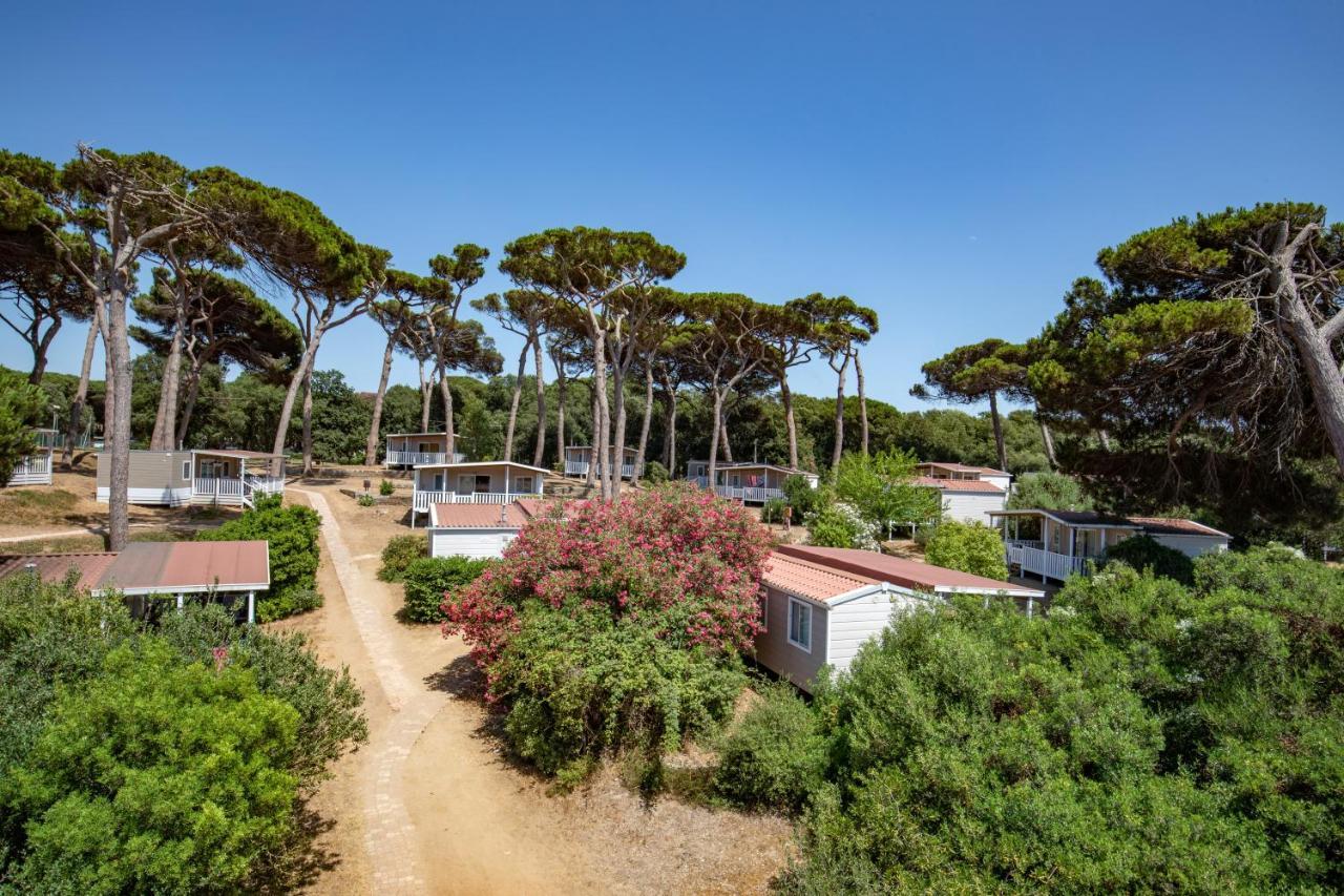 Parco Della Gallinara Lido dei Pini Buitenkant foto