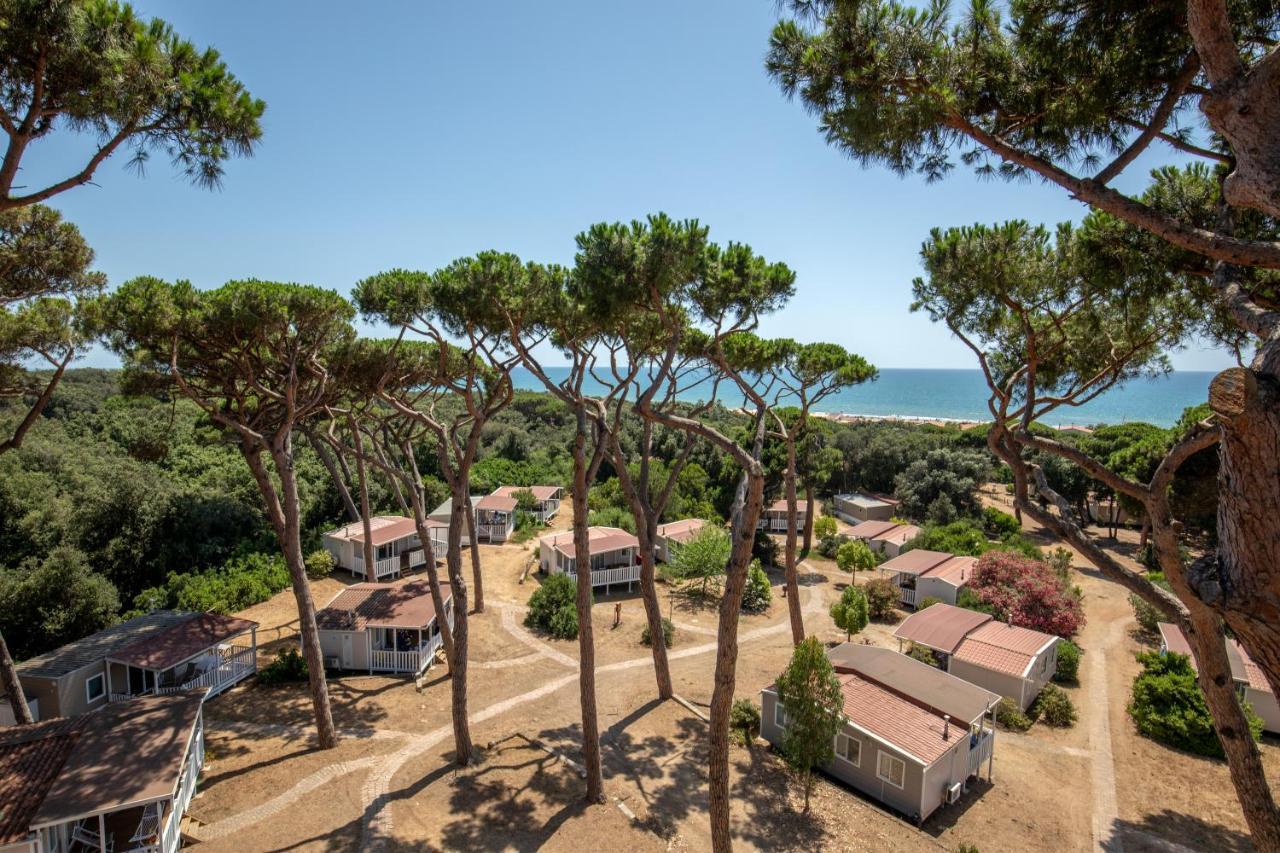 Parco Della Gallinara Lido dei Pini Buitenkant foto